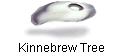 Kinnebrew Tree