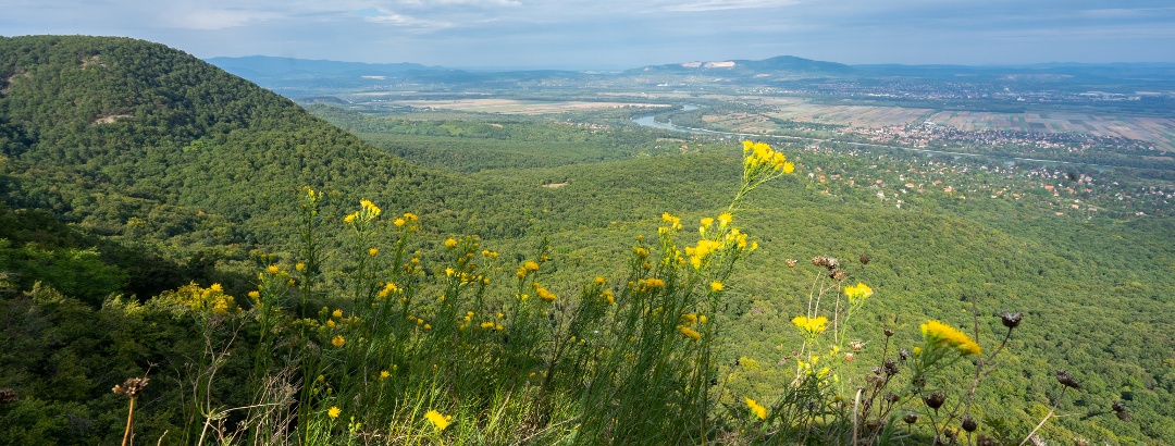 Vörös-kői panorama