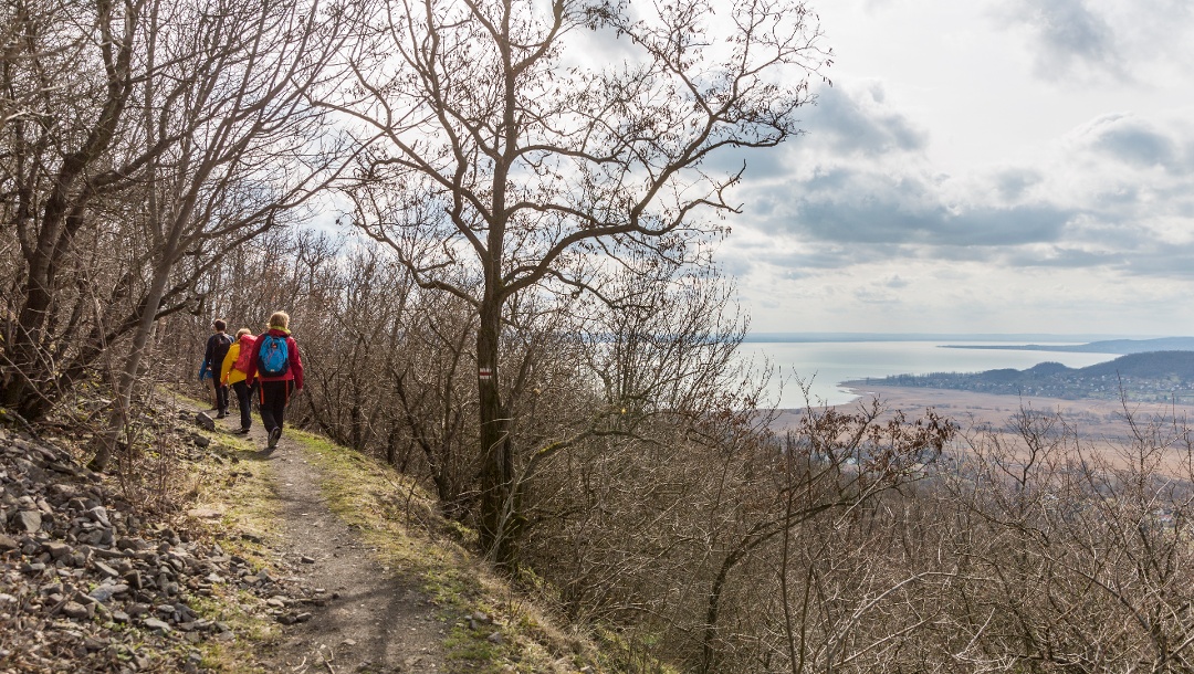 Panorama route on the northwestern slope of Badacsony
