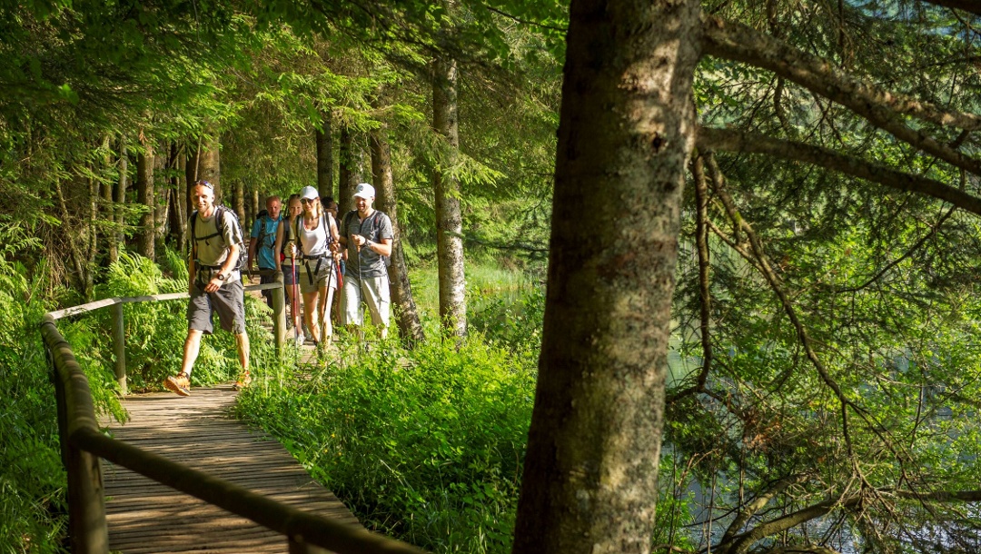 Lac de Lispach - La Bresse