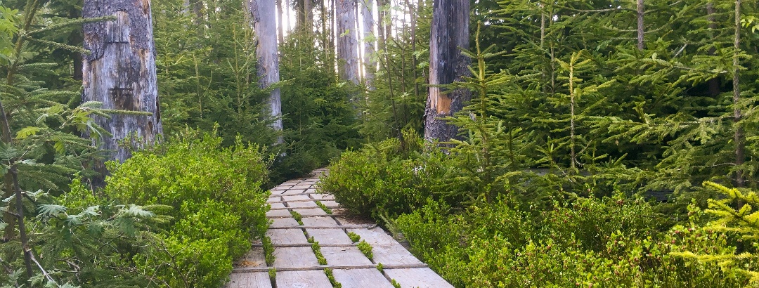 Aufichtenwald footbridge