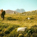 Campo Imperatore, Aquila