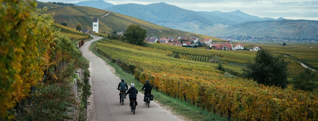 Véloroute du vignoble d'Alsace - EuroVélo5